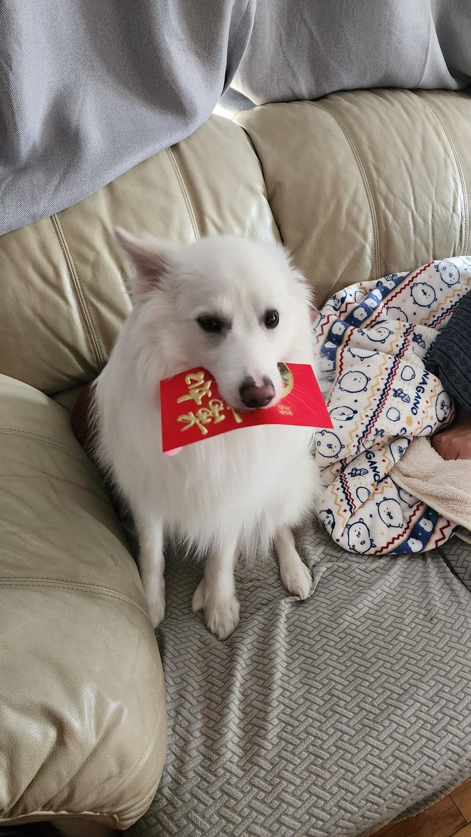 risu komori🐿️🌟小森リス tweet media