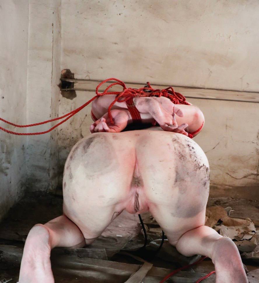 竹炉dom tweet media