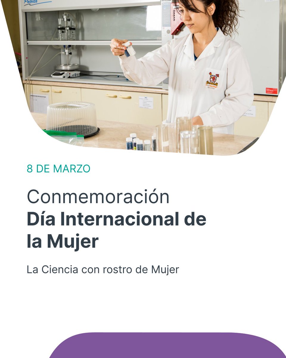 LabenChile tweet media