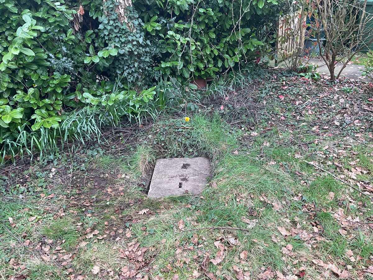 ☠️ Matt 👾 tweet media