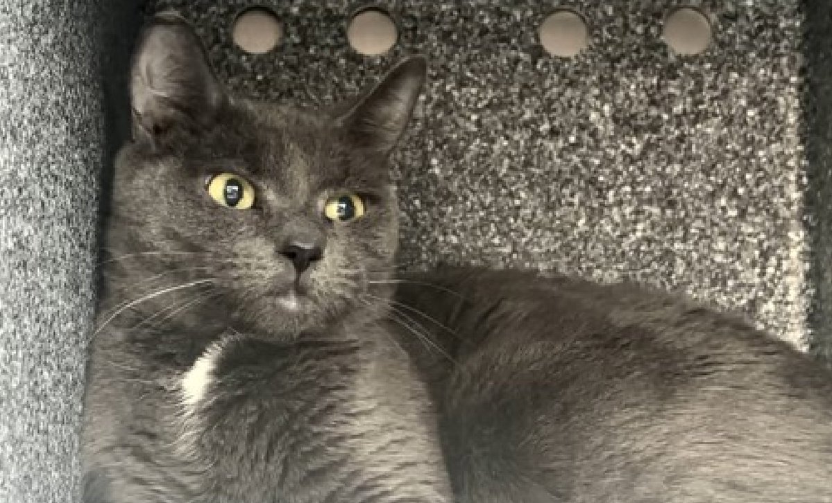 Jack5928 tweet media