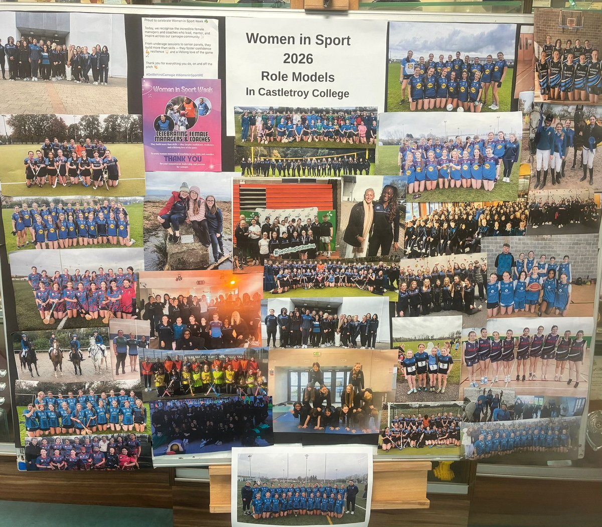 Castletroy College tweet media