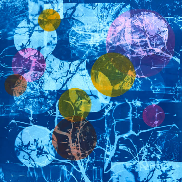 alternativephot's tweet image. 3 lovely examples of adding colour for our COLOUR Calendar event by:
➥ Paige Billin-Frye, Salt print
➥ Robert A. Schaefer Jr. , Cyanotype
➥ Anne Guest, Cyanotype

All entries:
👉 alternativephotography.com/calendar-event…

#cyanotype #saltprint #altprocess #alterantiveprocesses