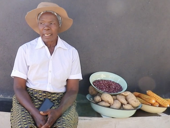 HarvestPlus tweet media