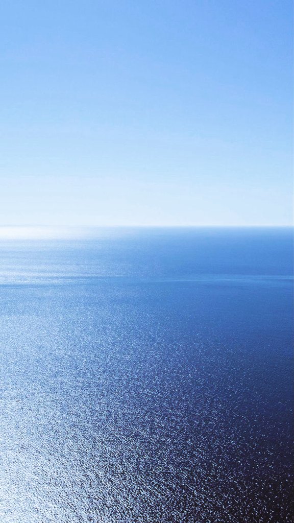 Sonia Álvaro tweet media