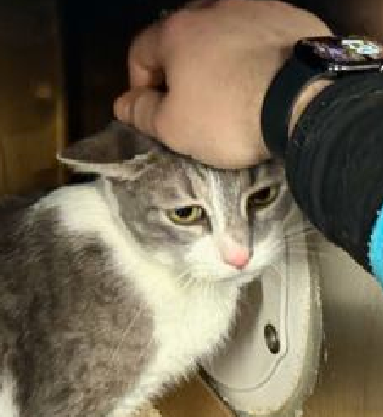 Jack5928 tweet media