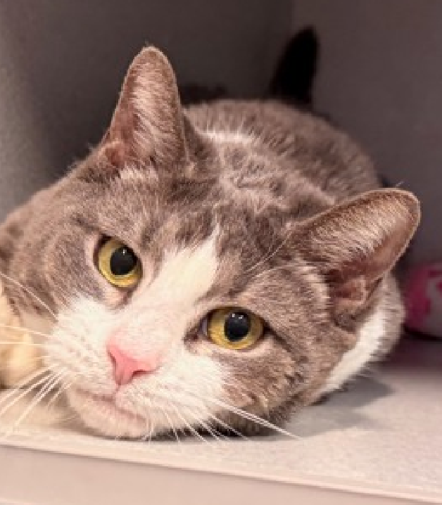 Jack5928 tweet media