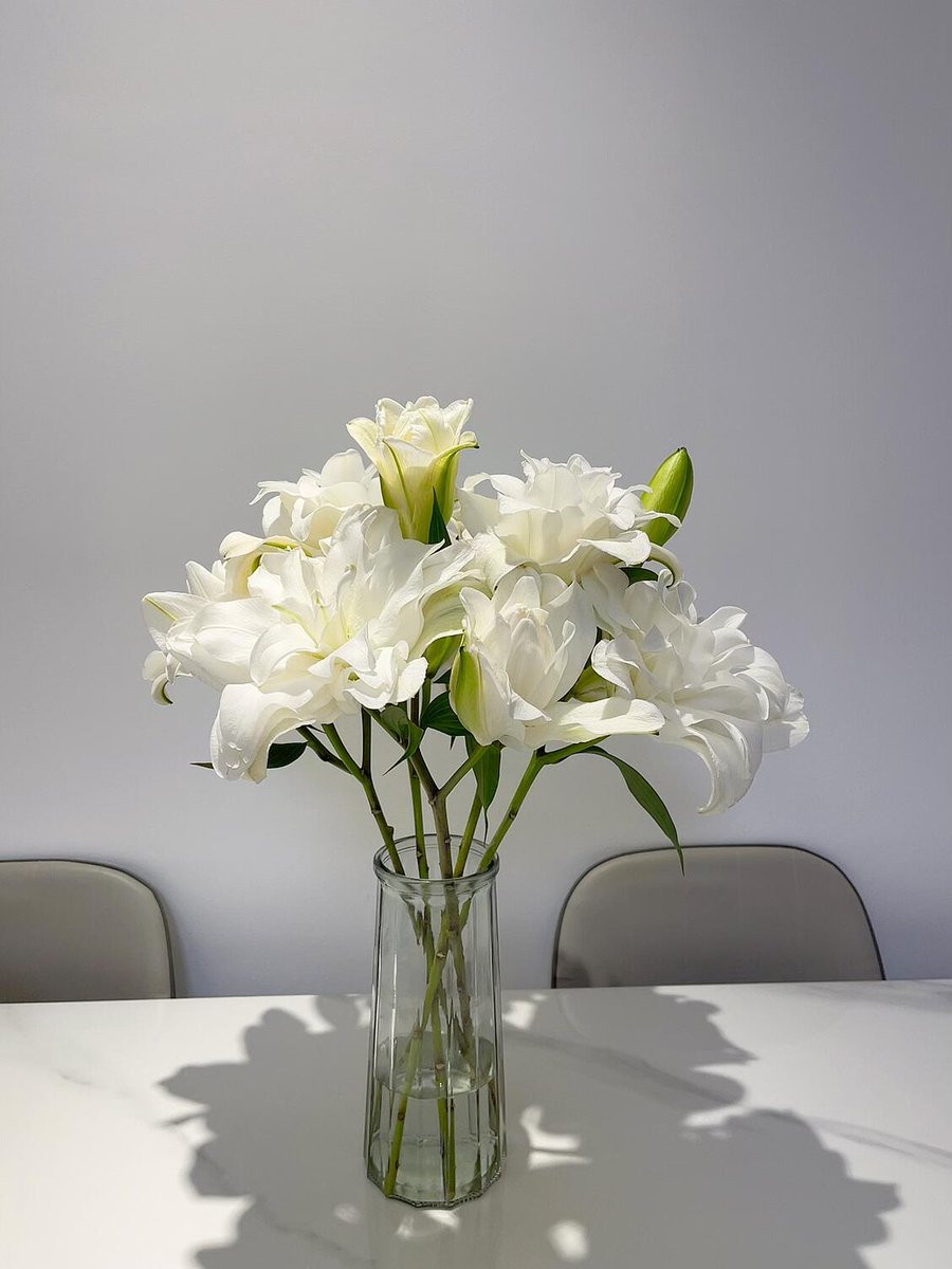 Violet3752's tweet photo. Flowers remind us that even in the toughest times, beauty can bloom . Keep growing, keep shining, and let your soul blossom . 🌸💖 https://t.co/tZxJ8Zd1Y2