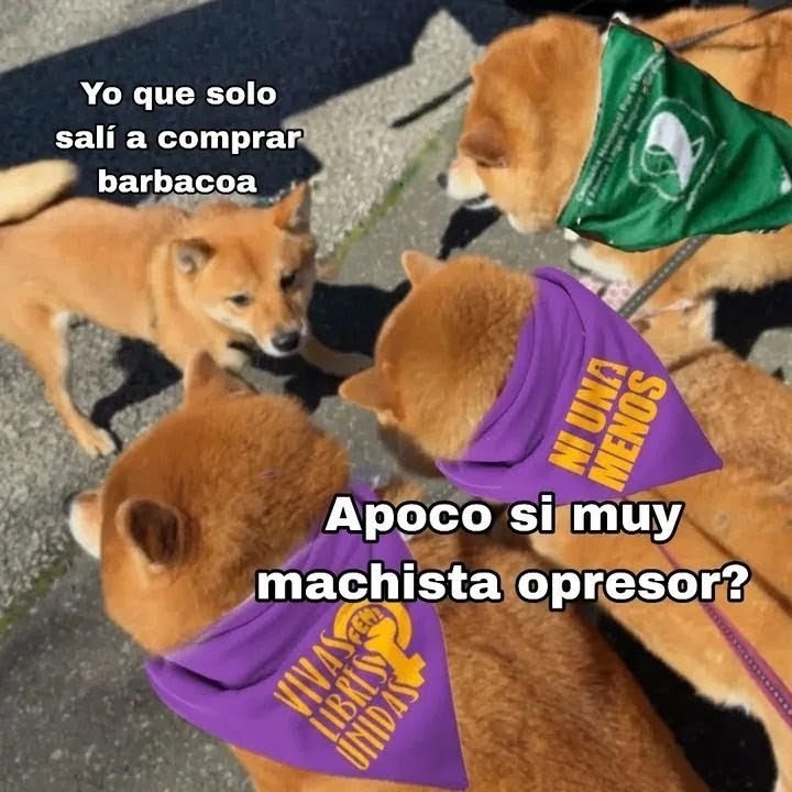 Cap Briagowsky tweet media