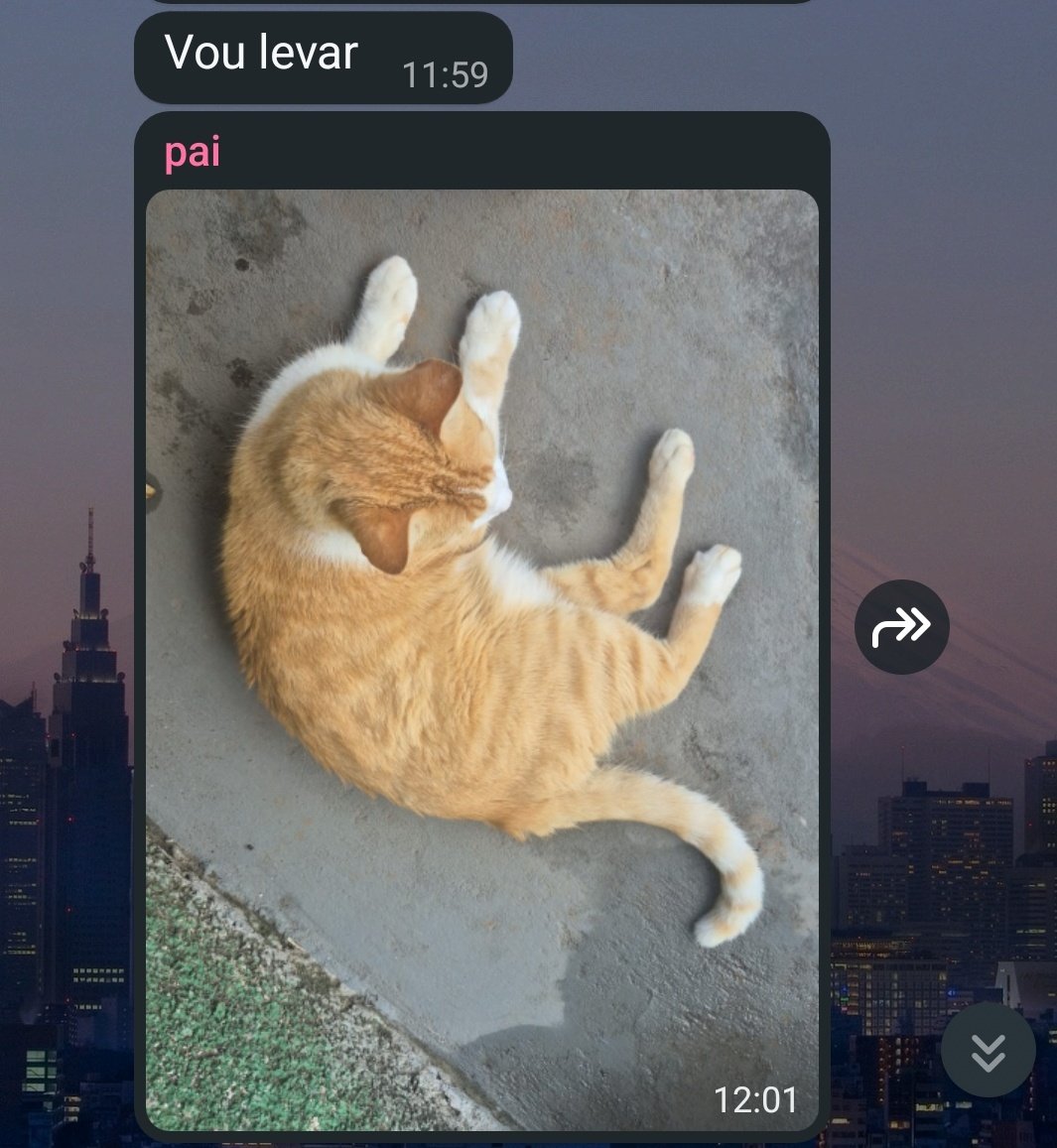 meu pai (que nao gostava de gato pq tinha medo) foi escolhido por um enorme de gordo e agora ele tem um gato