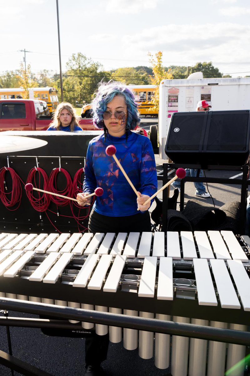 Eastern Brown Bands tweet media