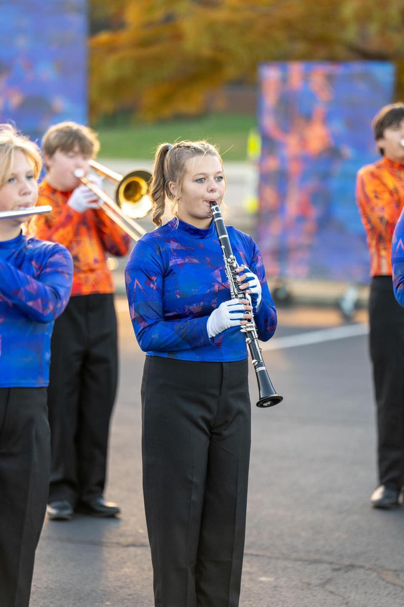 Eastern Brown Bands tweet media