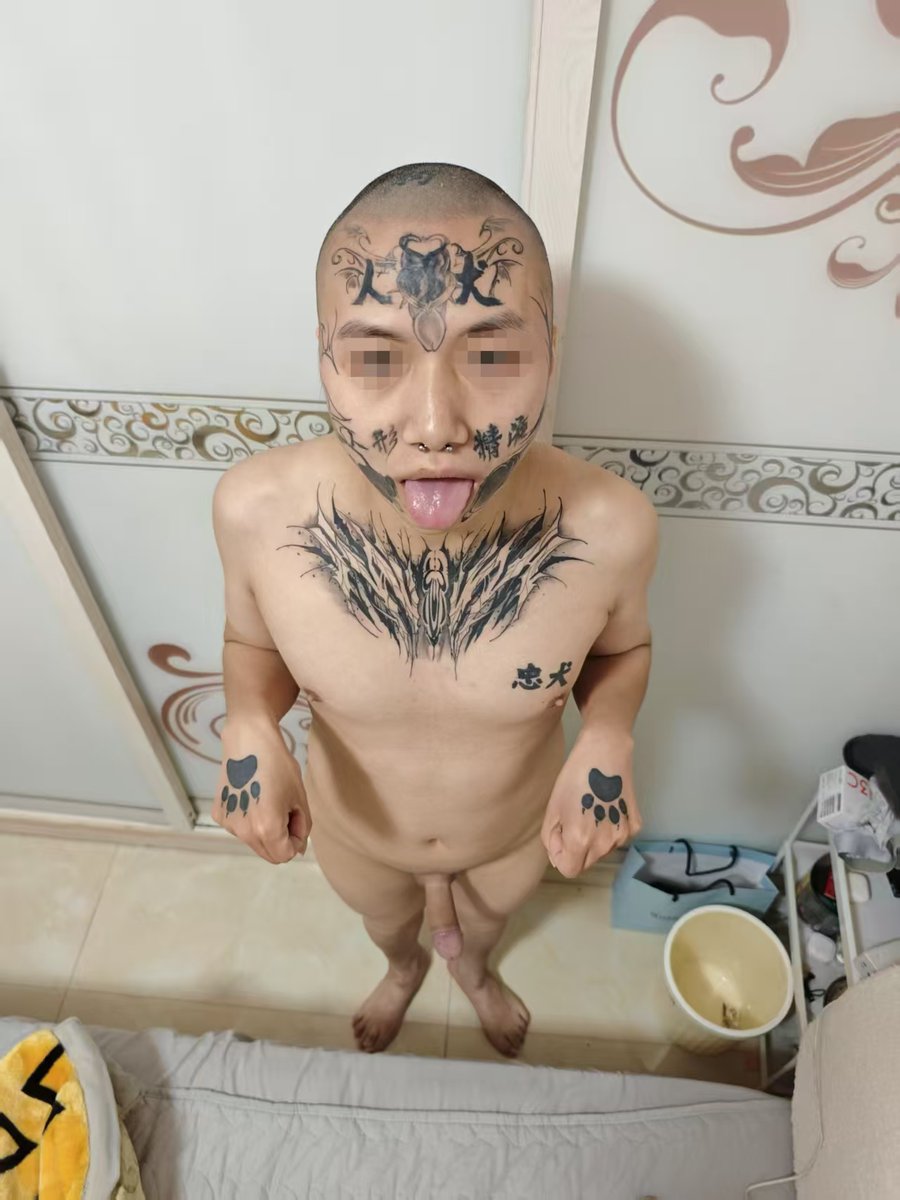 小鑫 tweet media