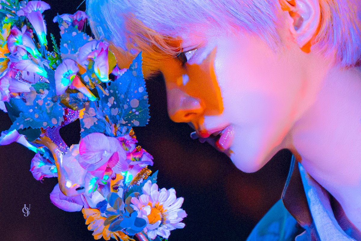 북극곰의 눈물✨️ tweet media