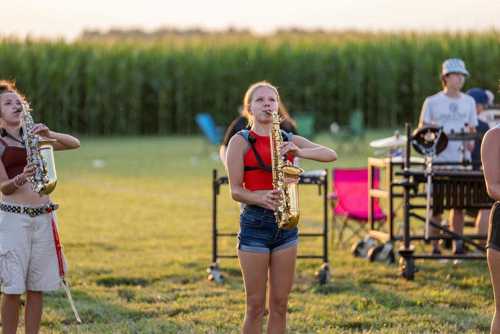 Eastern Brown Bands tweet media