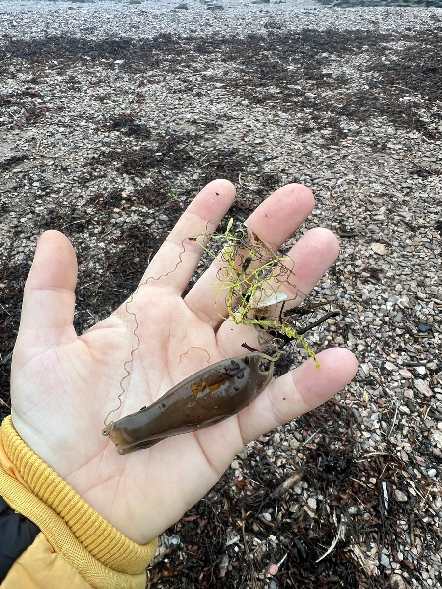 Me&ThePlasticSea tweet media