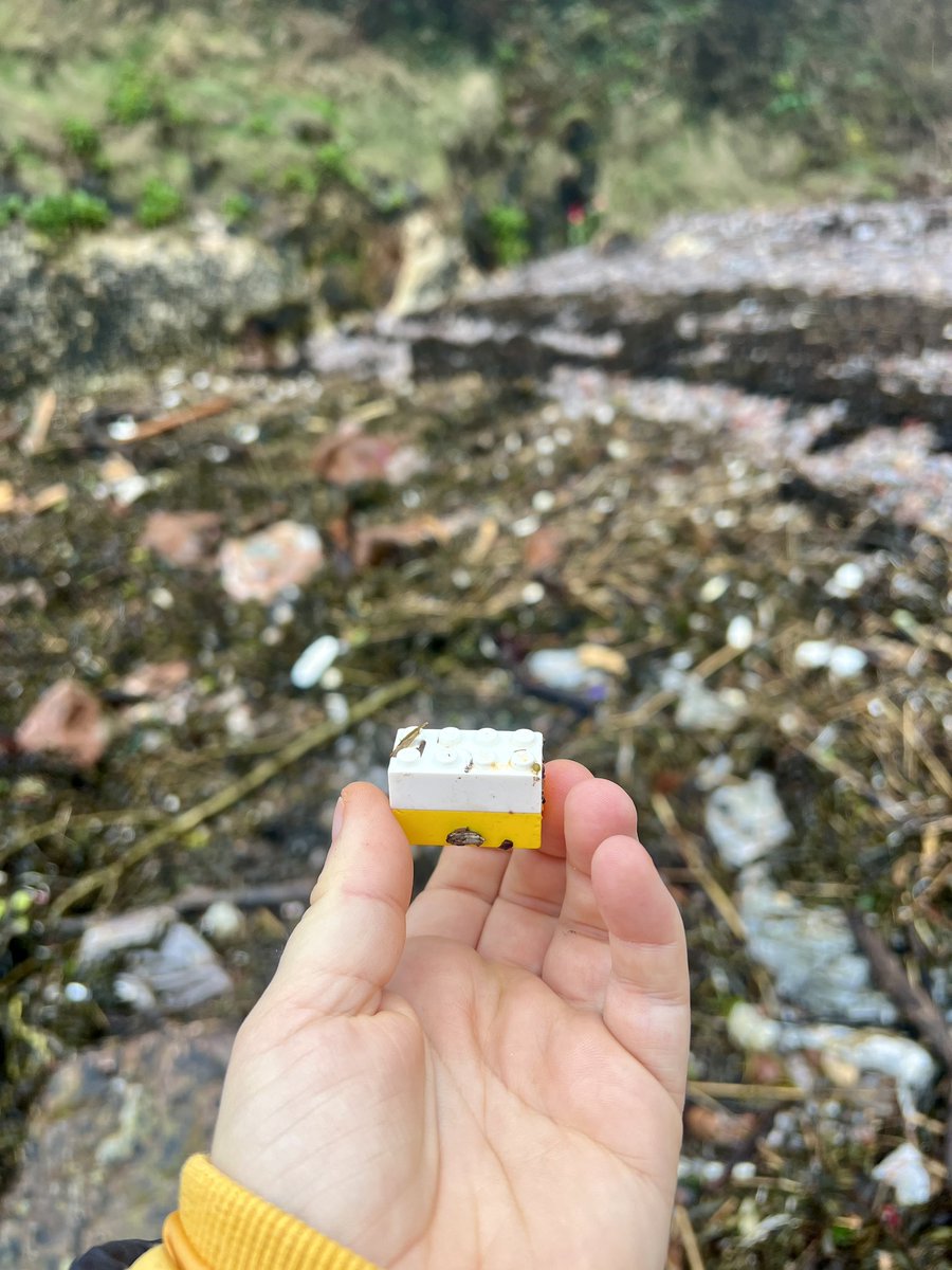 Me&ThePlasticSea tweet media