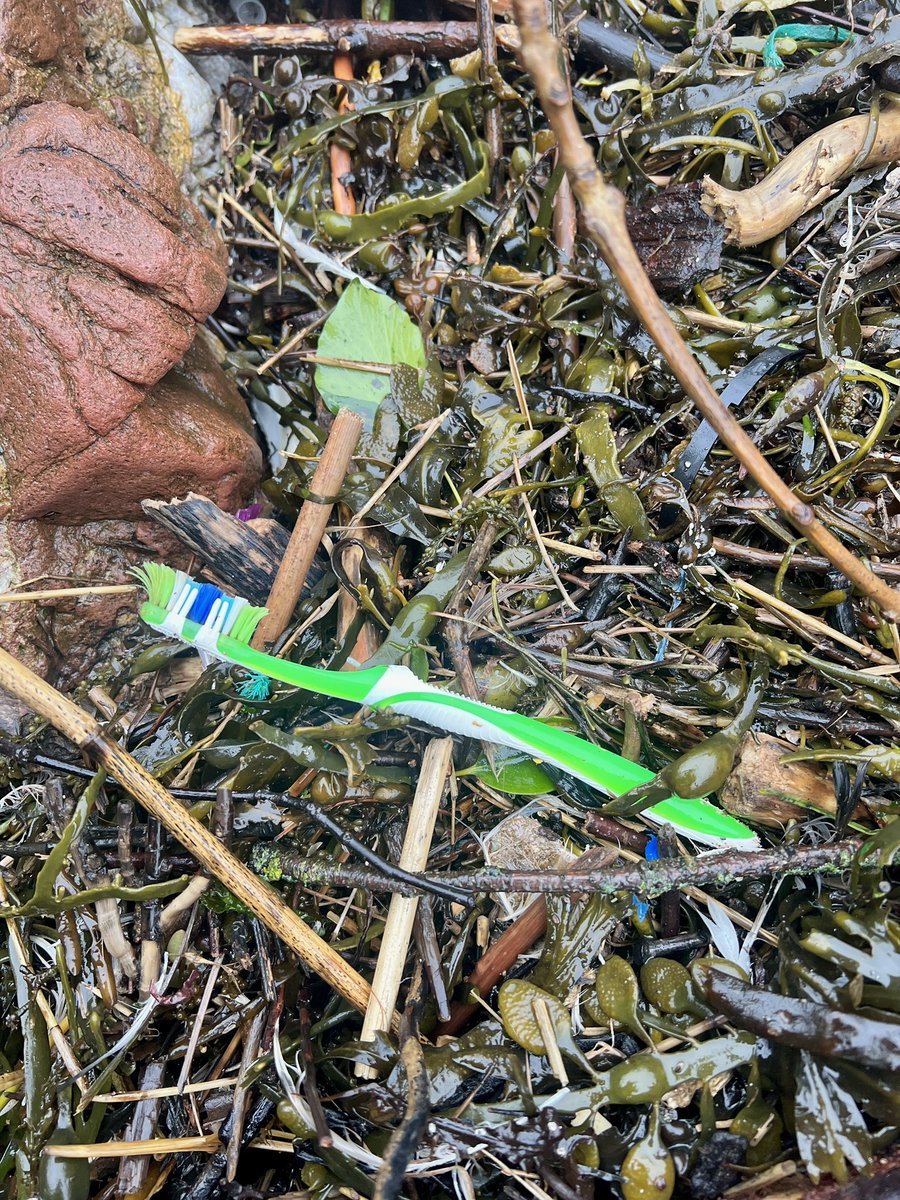 Me&ThePlasticSea tweet media