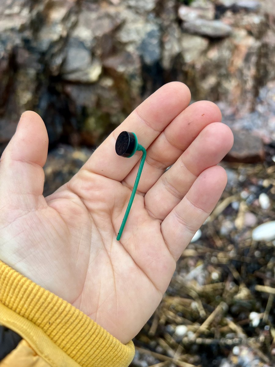 Me&ThePlasticSea tweet media