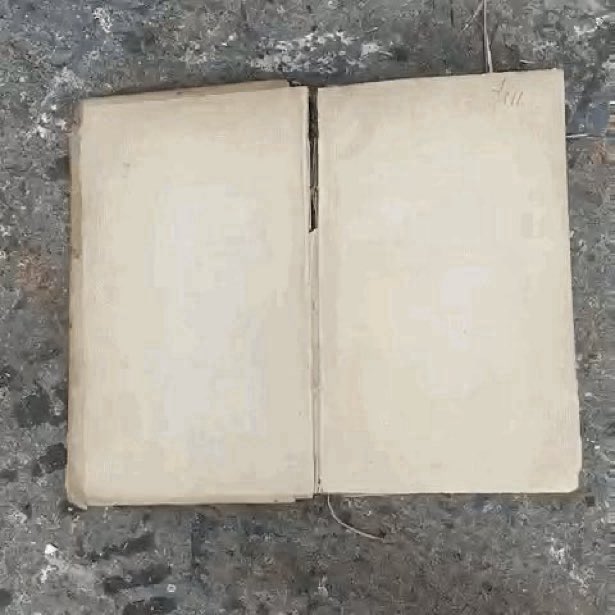 A.S. Velasca tweet media