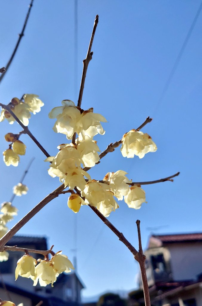 🦋˙˚ʚノラ ɞ˚˙🦋 後でﾘﾌﾟ廻りしま〜す✨ tweet media