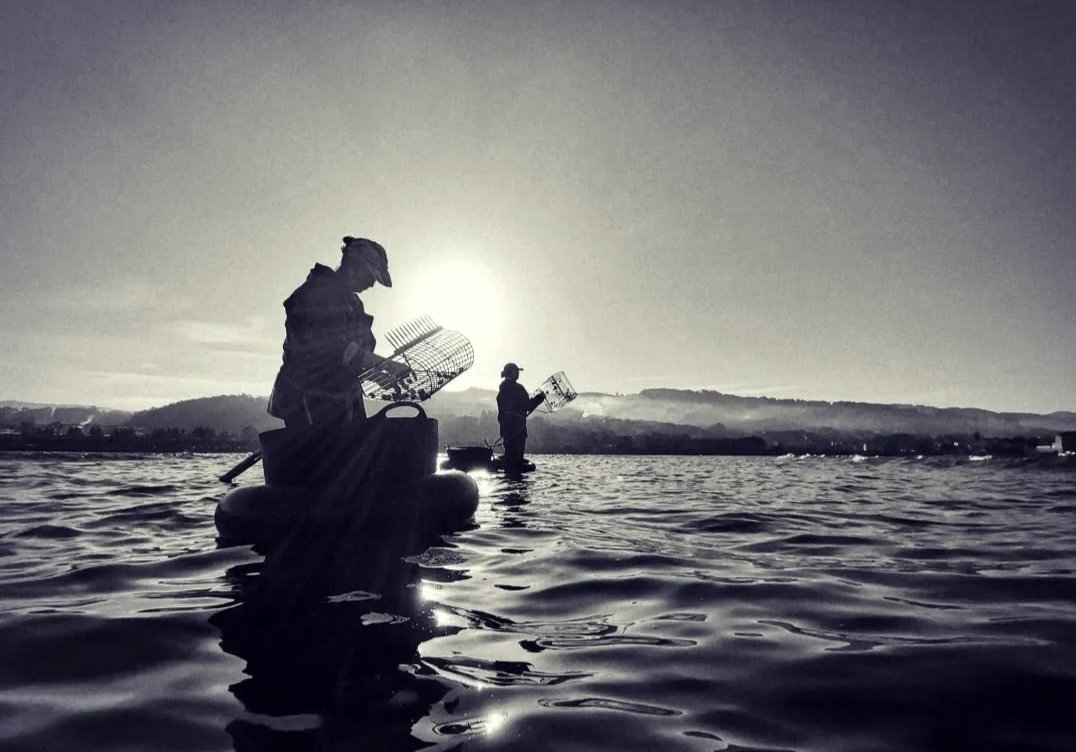 O Percebeiro tweet media