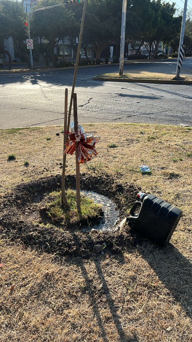 FURA, A.C. 🇲🇽 tweet media