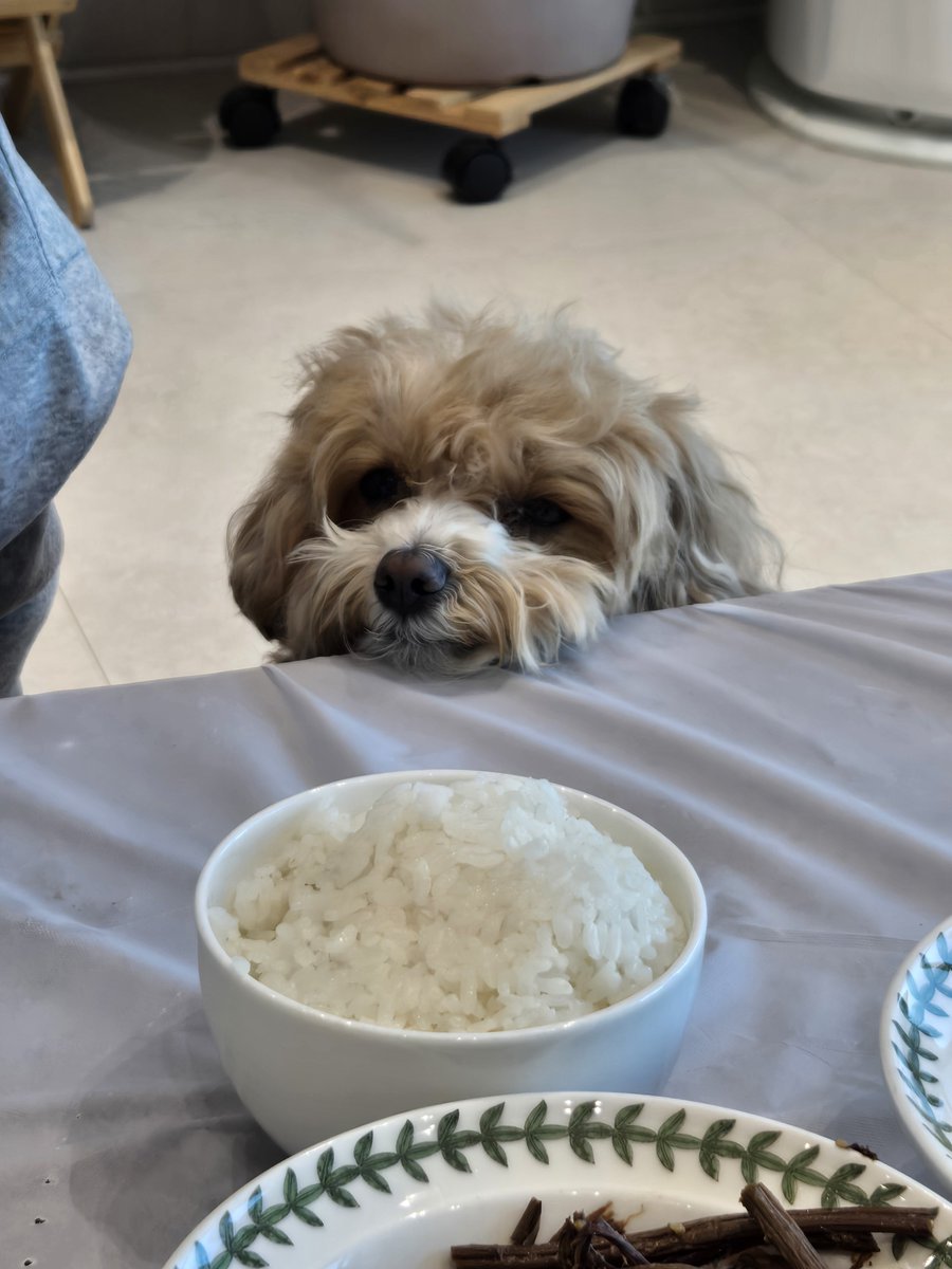 𝚋𝚎𝚎𝚗 tweet media