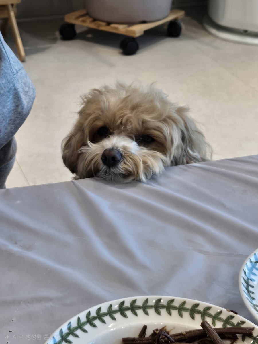 𝚋𝚎𝚎𝚗 tweet media