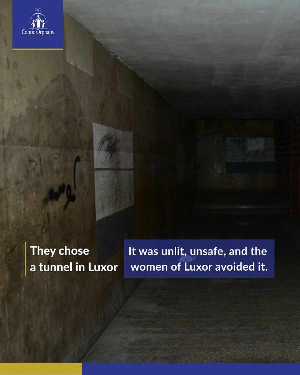 Coptic Orphans tweet media