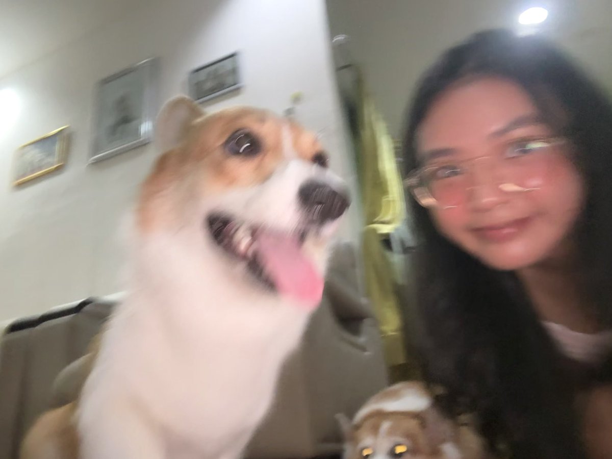 gnvtxt's tweet photo. hari ini ketemu mizu and bailey after a vvv long time!!🥹🫶🏻 https://t.co/J2kpGRRiKw