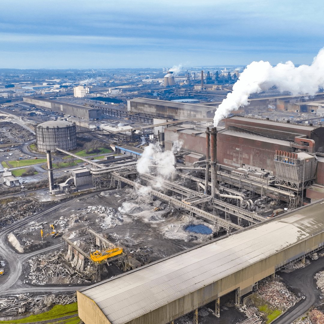 Tom Drysdale tweet media