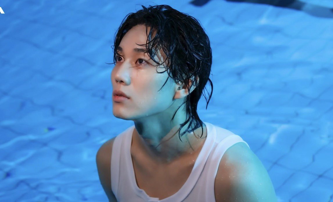 물고기🐶 tweet media