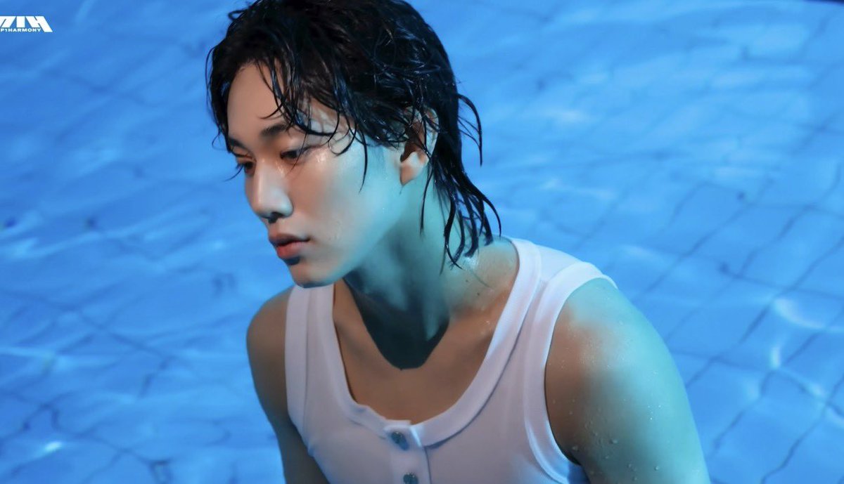 물고기🐶 tweet media