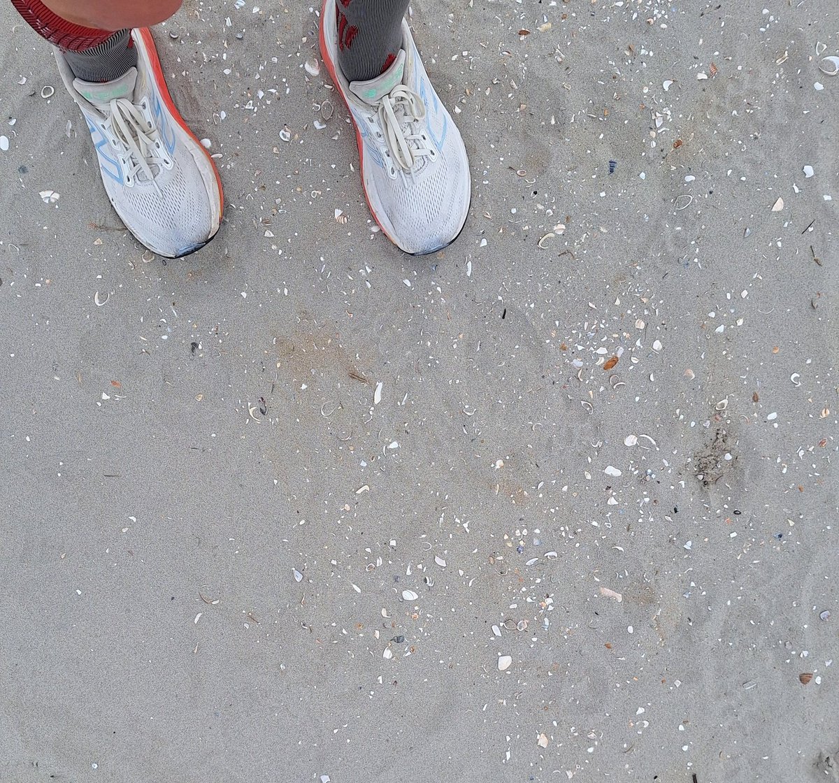 Dieneke 🏃♀️🚴♀️🏋️♀️ tweet media