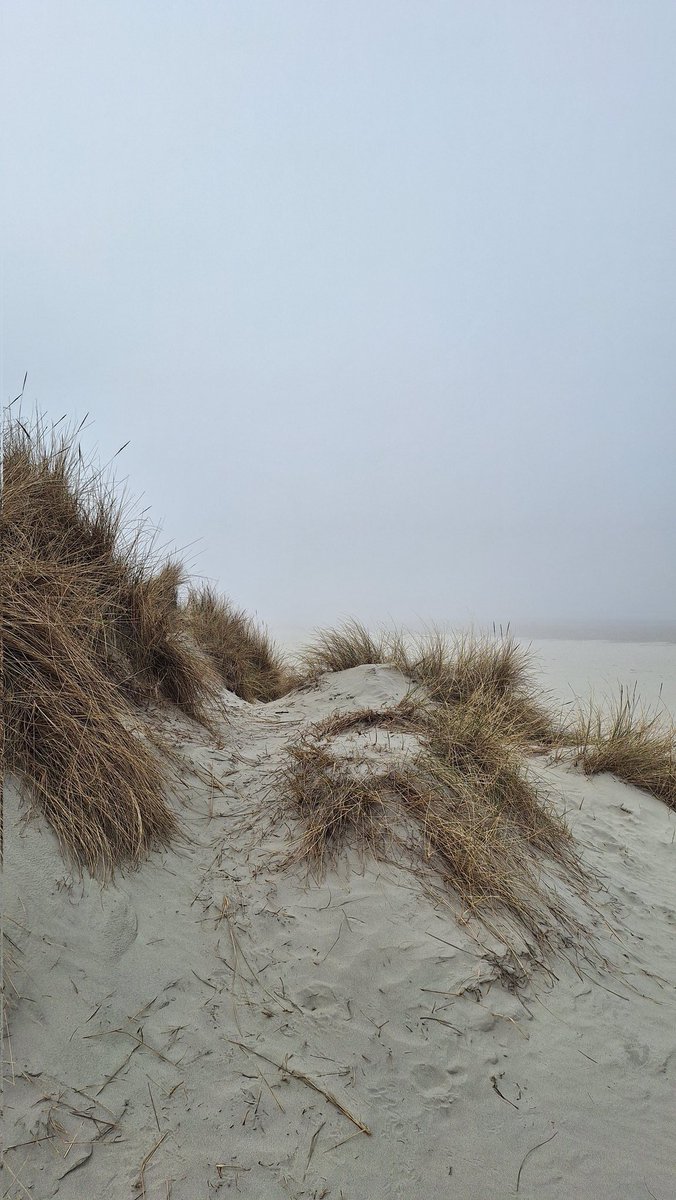 Dieneke 🏃♀️🚴♀️🏋️♀️ tweet media