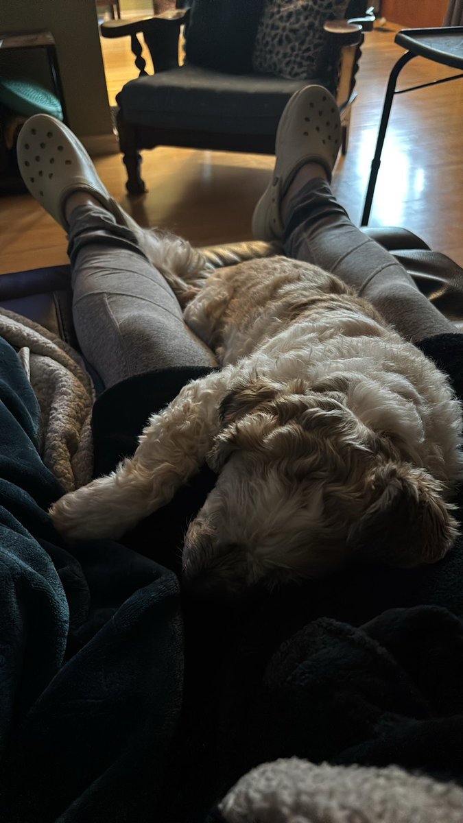 NorthernBookish 📚 🎮 Brittany tweet media