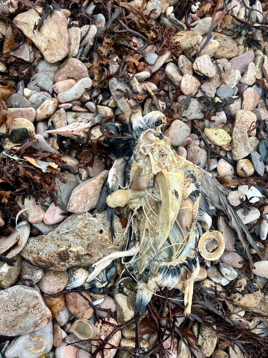 Me&ThePlasticSea tweet media