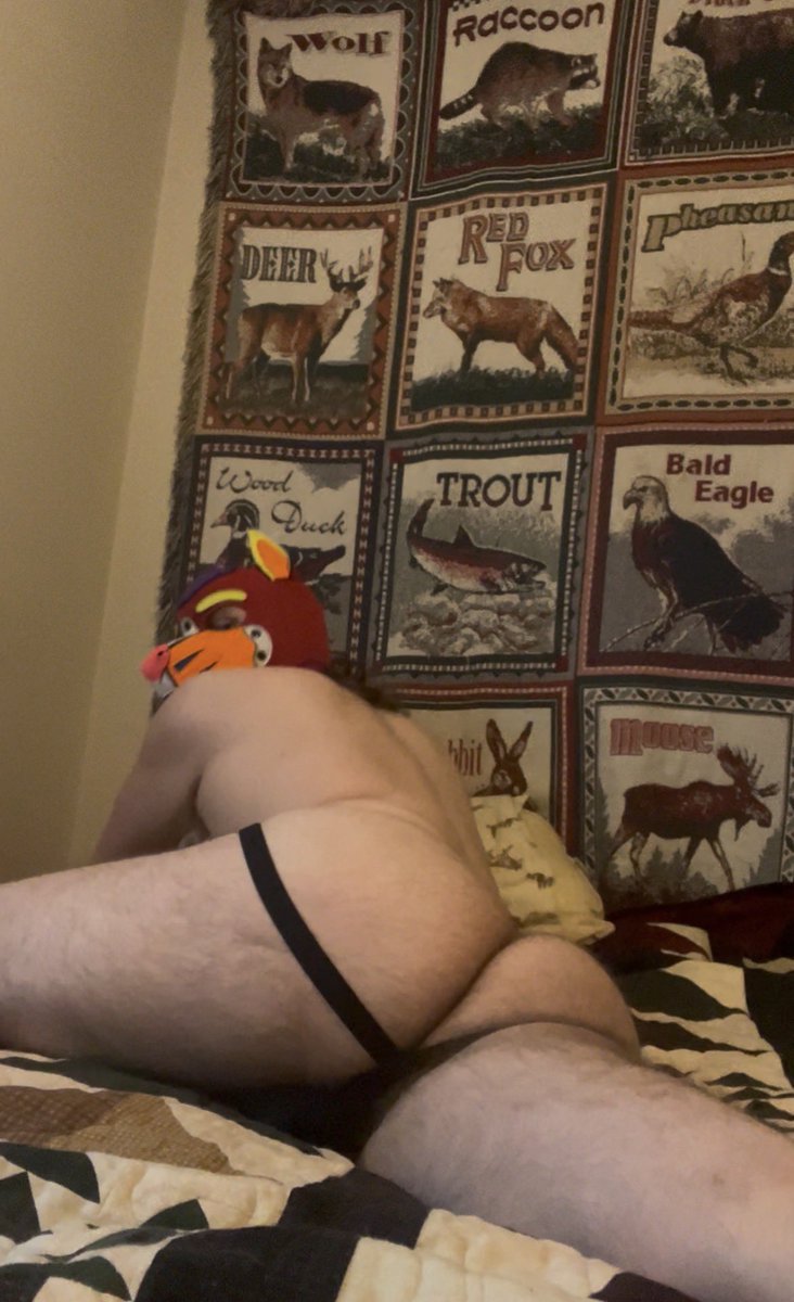 good pupper spruce tweet media