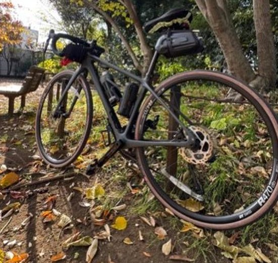 朱雀 蓮四 tweet media