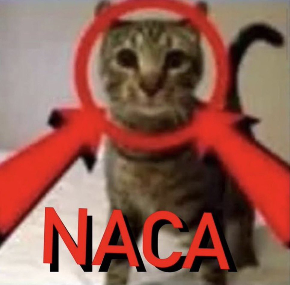 la huevona que se pone a decir “en este 8M no te debo empatía ni sororidad si has sido amante, si me has quitado a mi novio o si has hablado mal de mí”