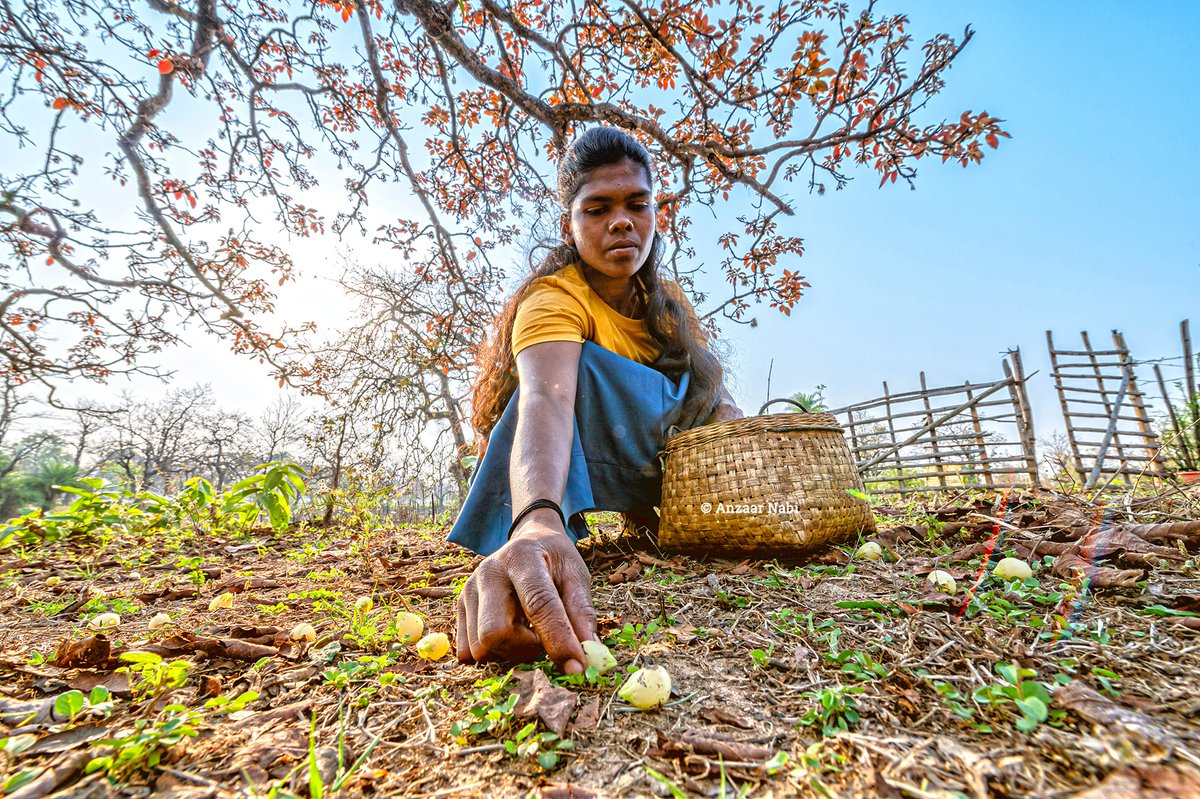 Anzaar Nabi tweet media