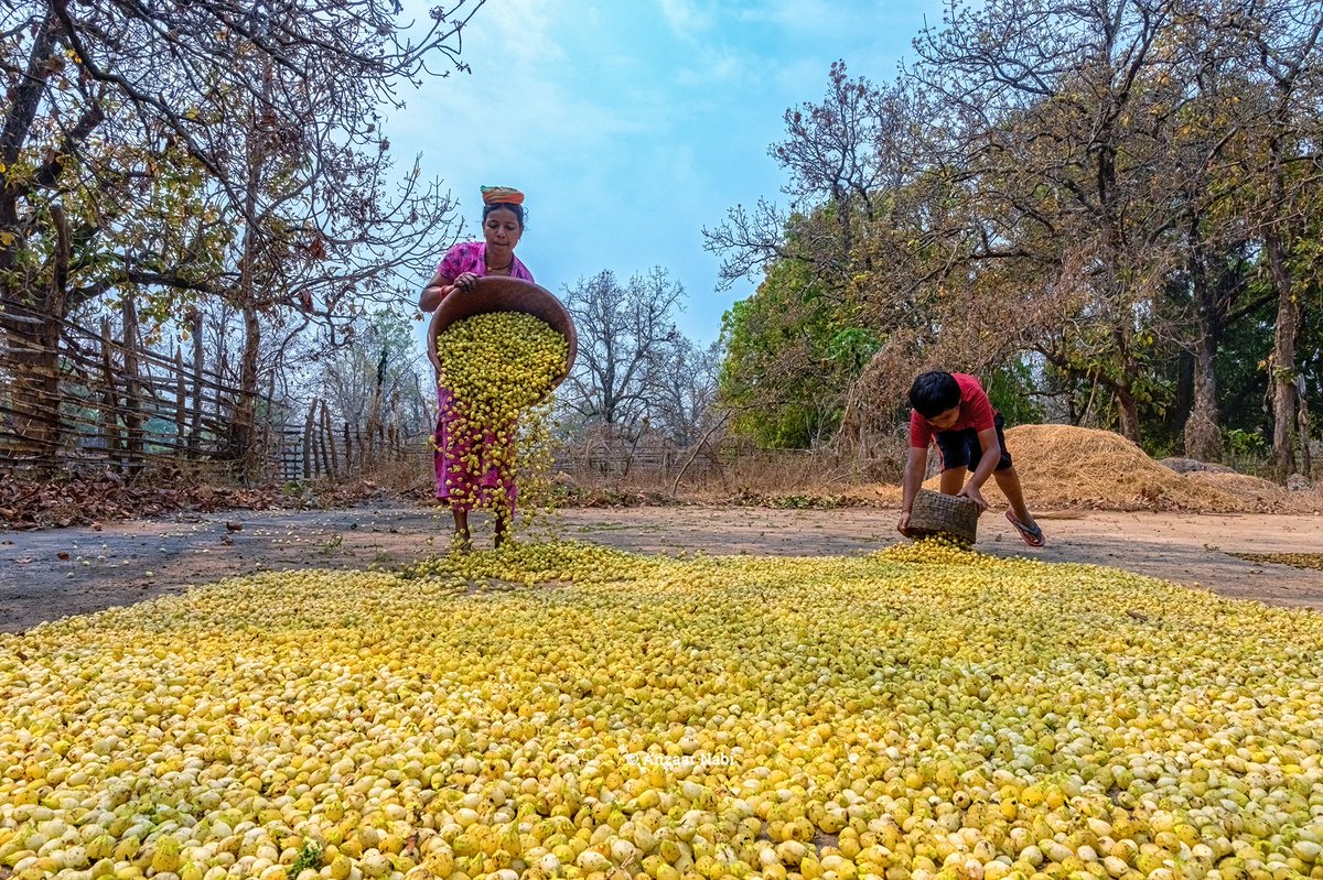 Anzaar Nabi tweet media