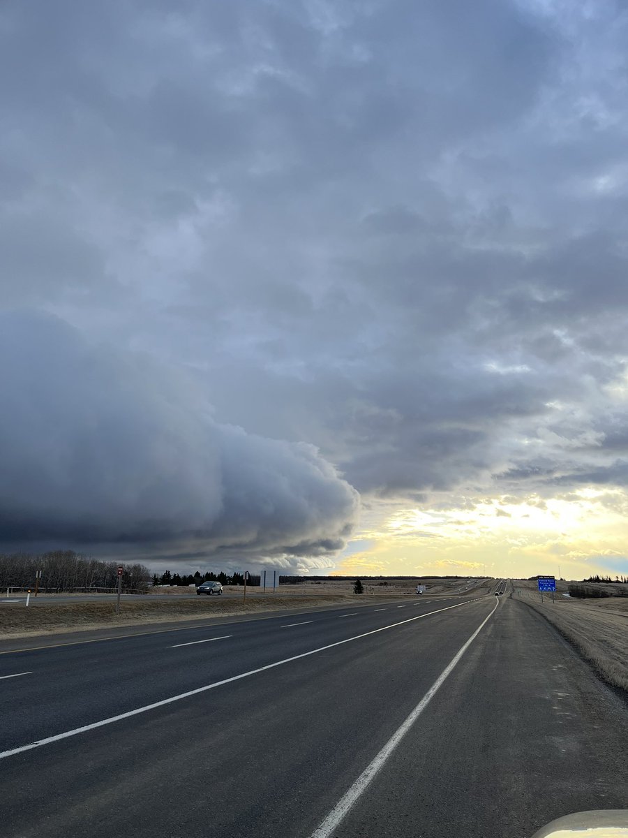 Braydon Morisseau tweet media