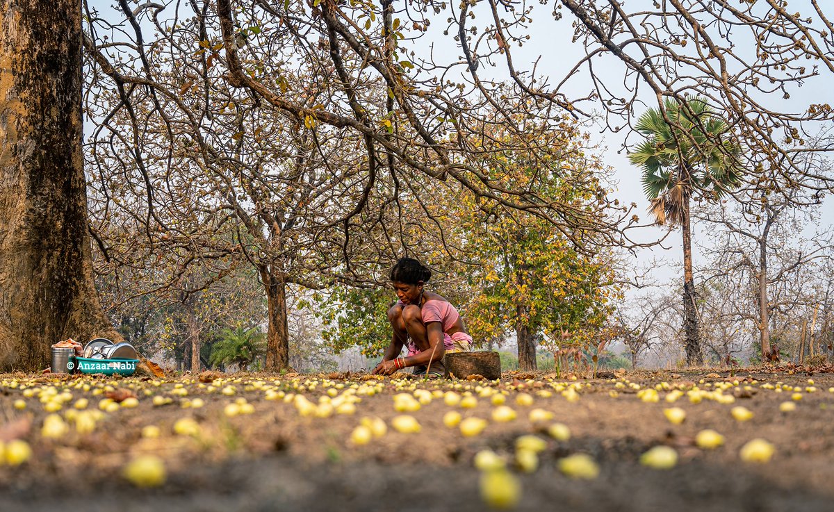 Anzaar Nabi tweet media