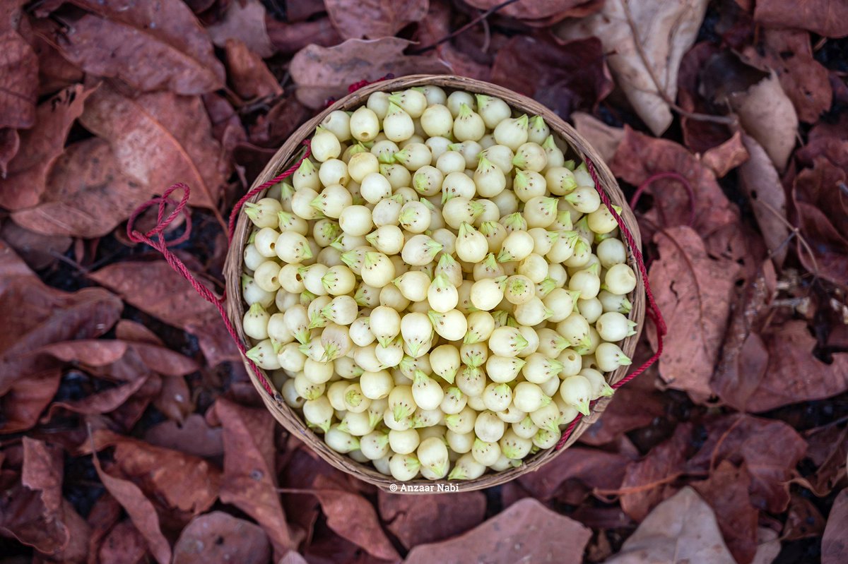 Anzaar Nabi tweet media