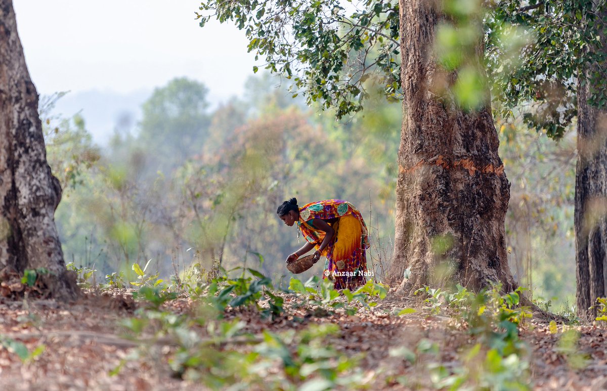 Anzaar Nabi tweet media