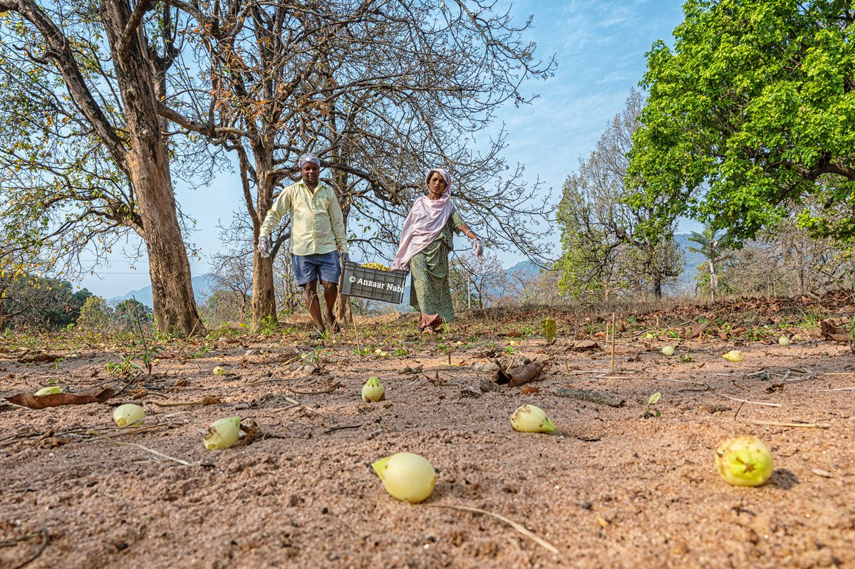 Anzaar Nabi tweet media