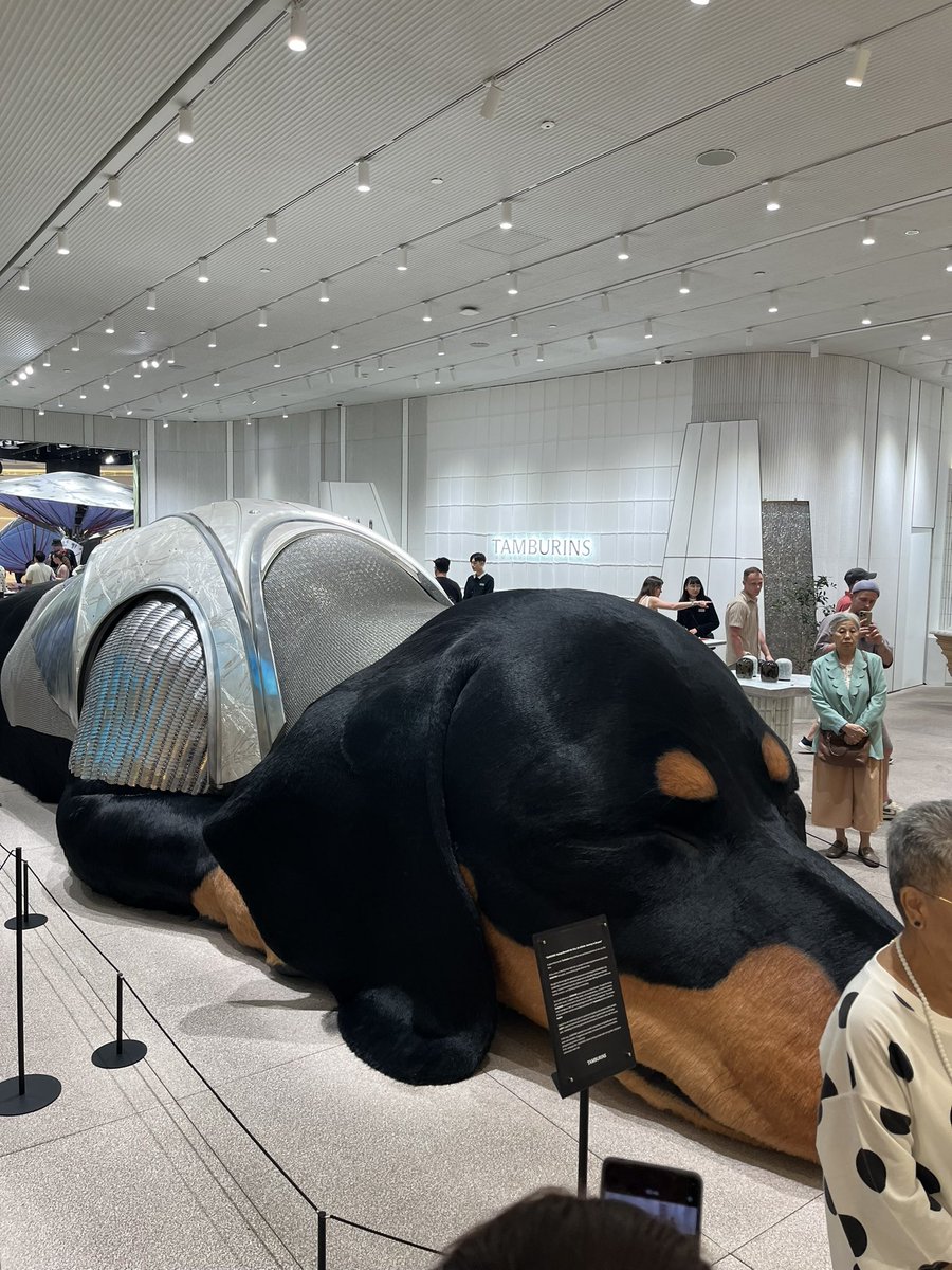 degen030 tweet media