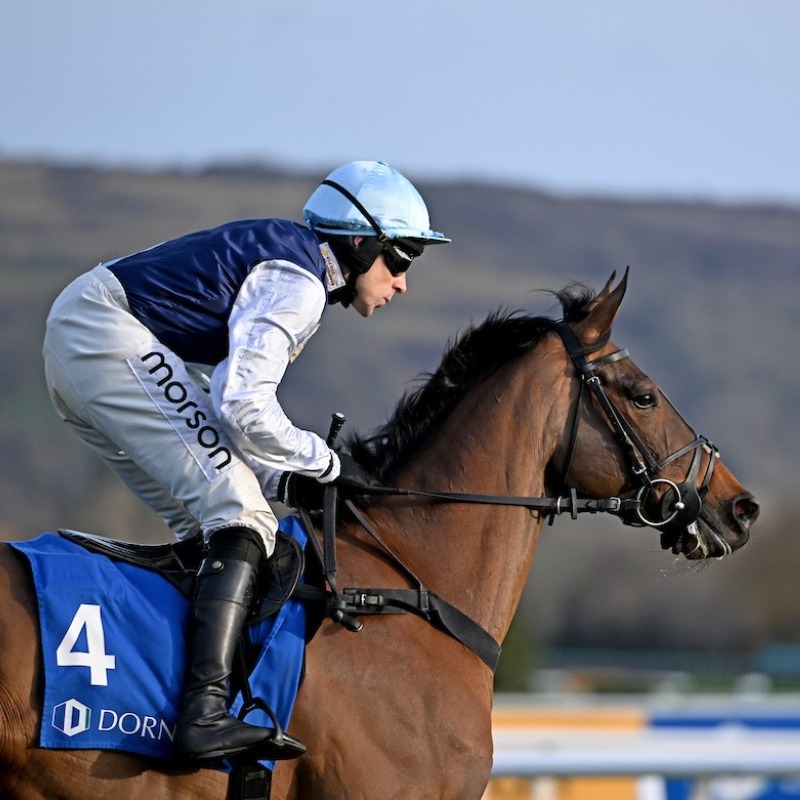 RacingTV's tweet photo. A host of @Race_IQ material to help your Cheltenham punting 🔞 👇🏻

◼️ @StevoGG what the stride data tells us about five key horses
◼️ Race IQ day one clues 
◼️ Race IQ Gold Cup clues
◼️ Stats &amp; facts for all four days
◼️ Download the official Race IQ pack for the 12 Grade Ones